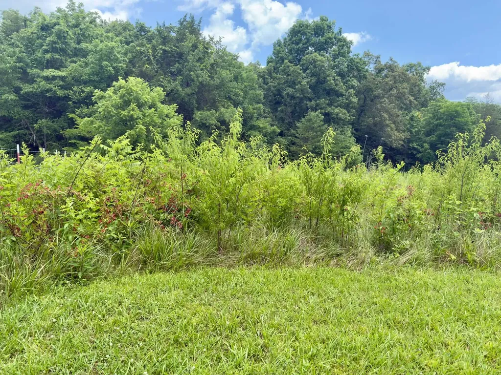 10113 Kentucky 92 Monticello KY 42633
