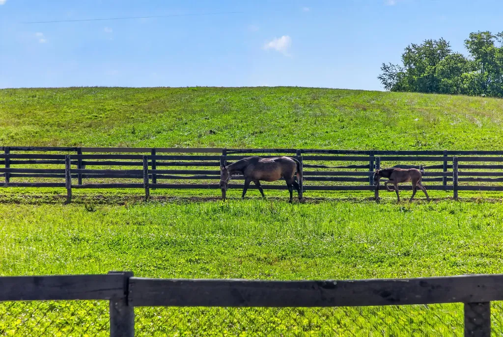 600 Ison Lane Harrodsburg KY 40330