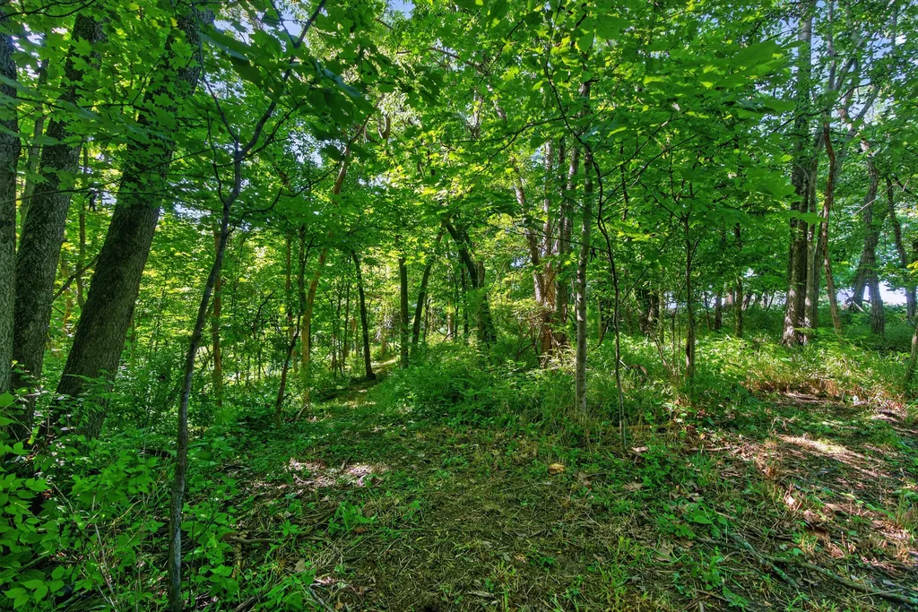 201 Hilltop Road Sadieville KY 40370