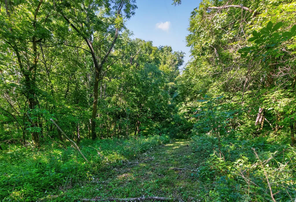 201 Hilltop Road Sadieville KY 40370