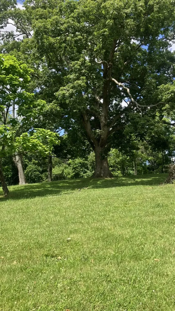 201 Hilltop Road Sadieville KY 40370