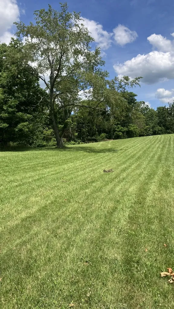 201 Hilltop Road Sadieville KY 40370