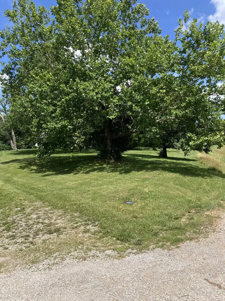 201 Hilltop Road Sadieville KY 40370