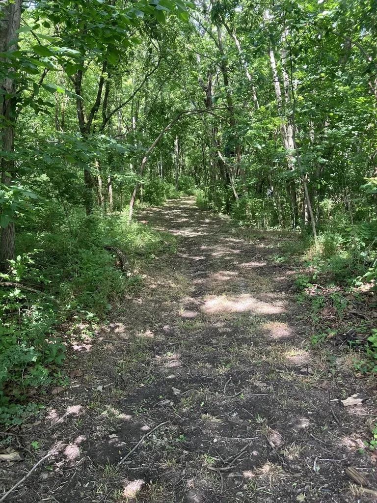201 Hilltop Road Sadieville KY 40370