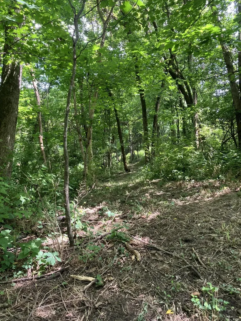 201 Hilltop Road Sadieville KY 40370