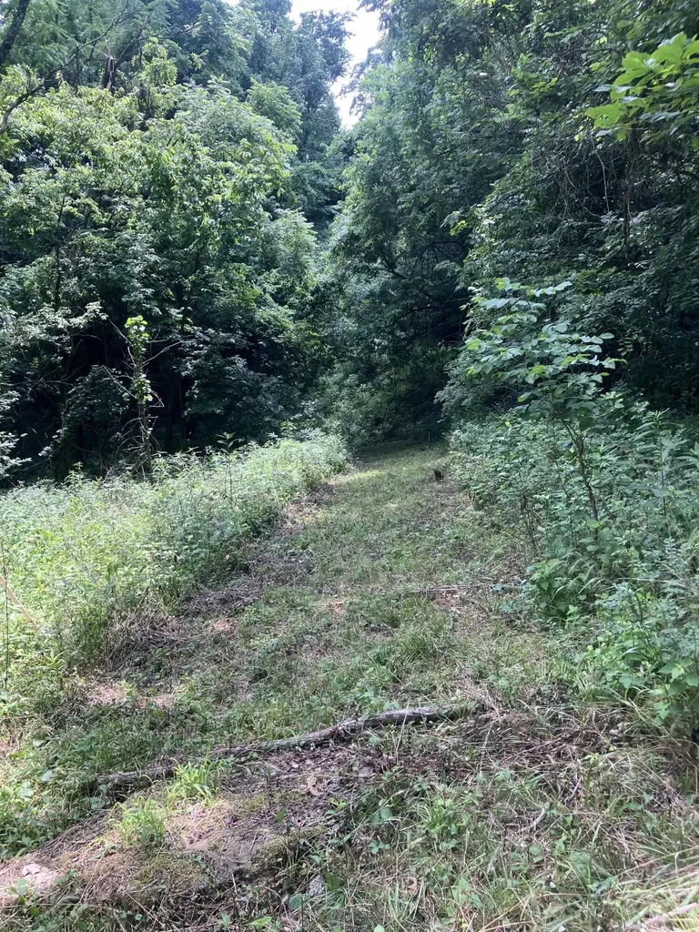 201 Hilltop Road Sadieville KY 40370