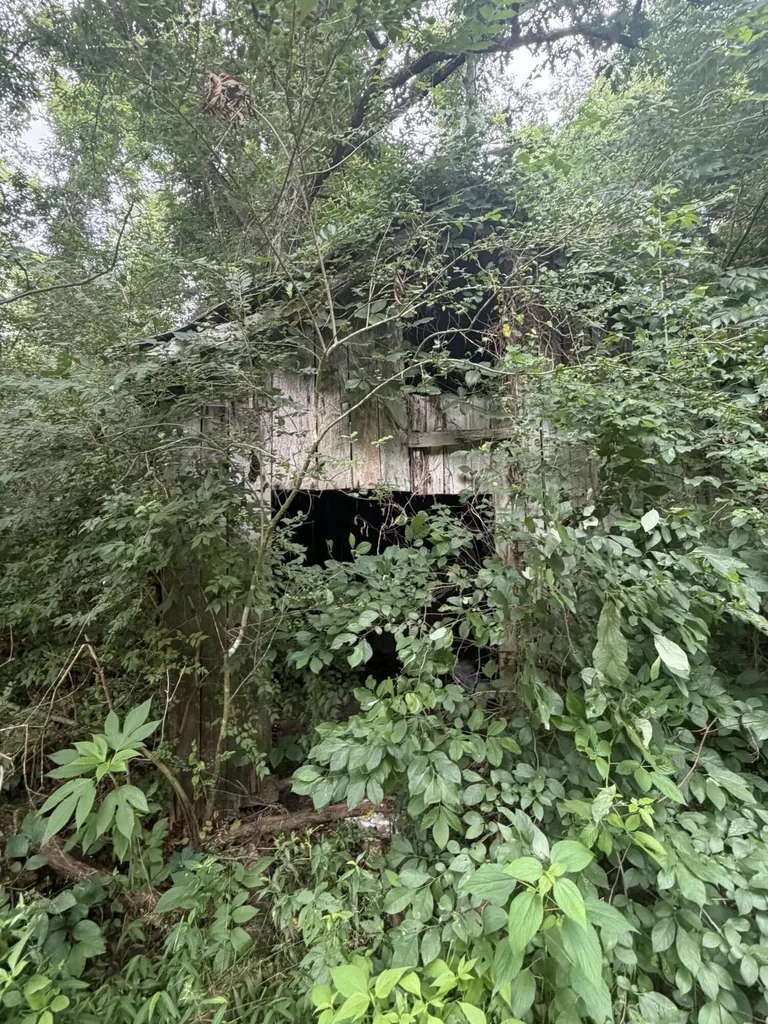 3205 Richmond Street Mt Vernon KY 40456
