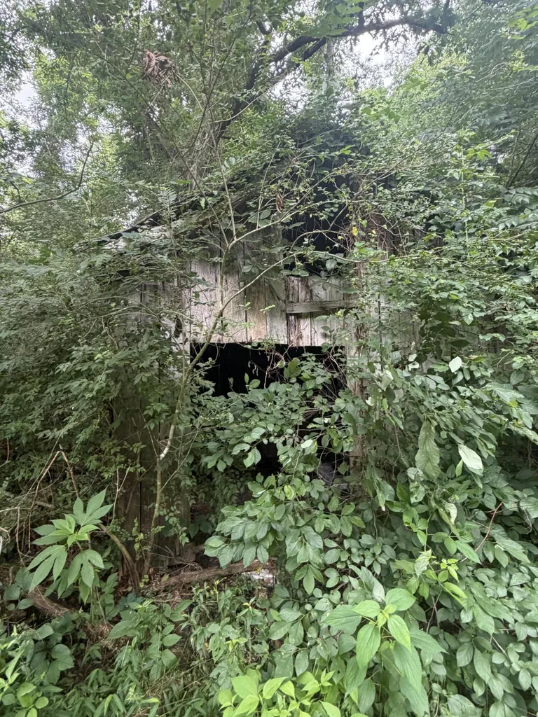 3205 Richmond Street Mt Vernon KY 40456