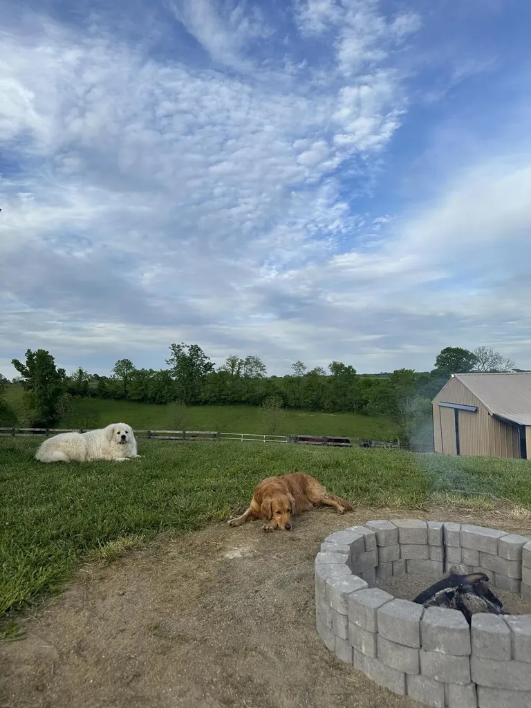 6888 Bybee Road Winchester KY 40391