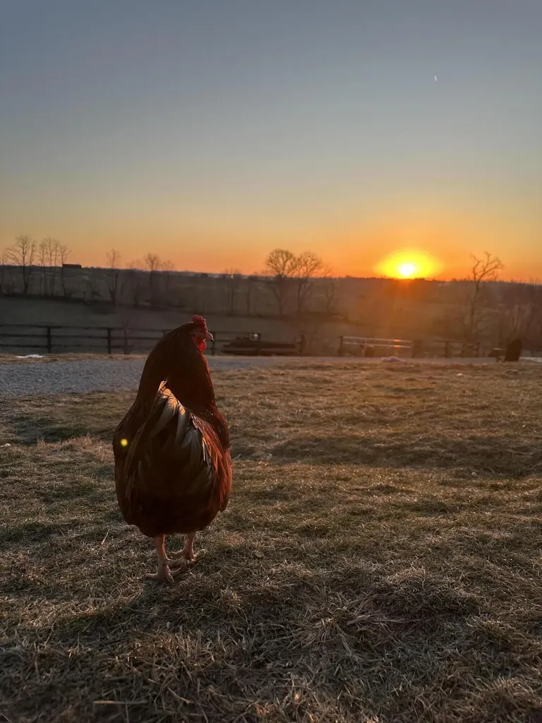 6888 Bybee Road Winchester KY 40391