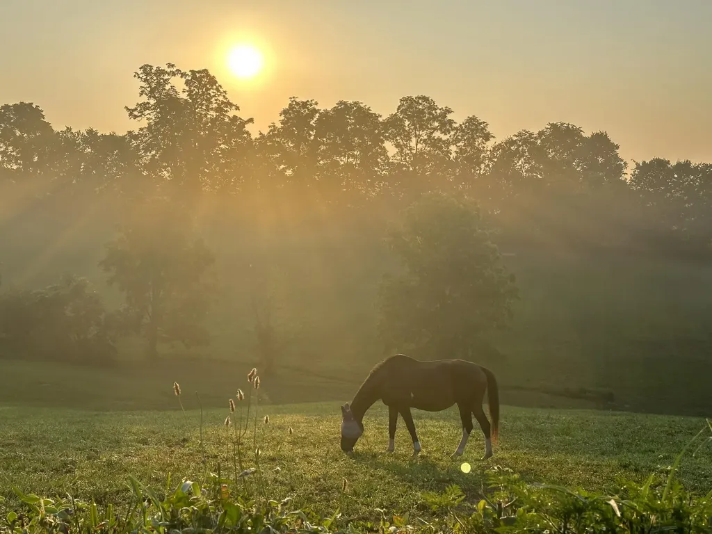 6888 Bybee Road Winchester KY 40391