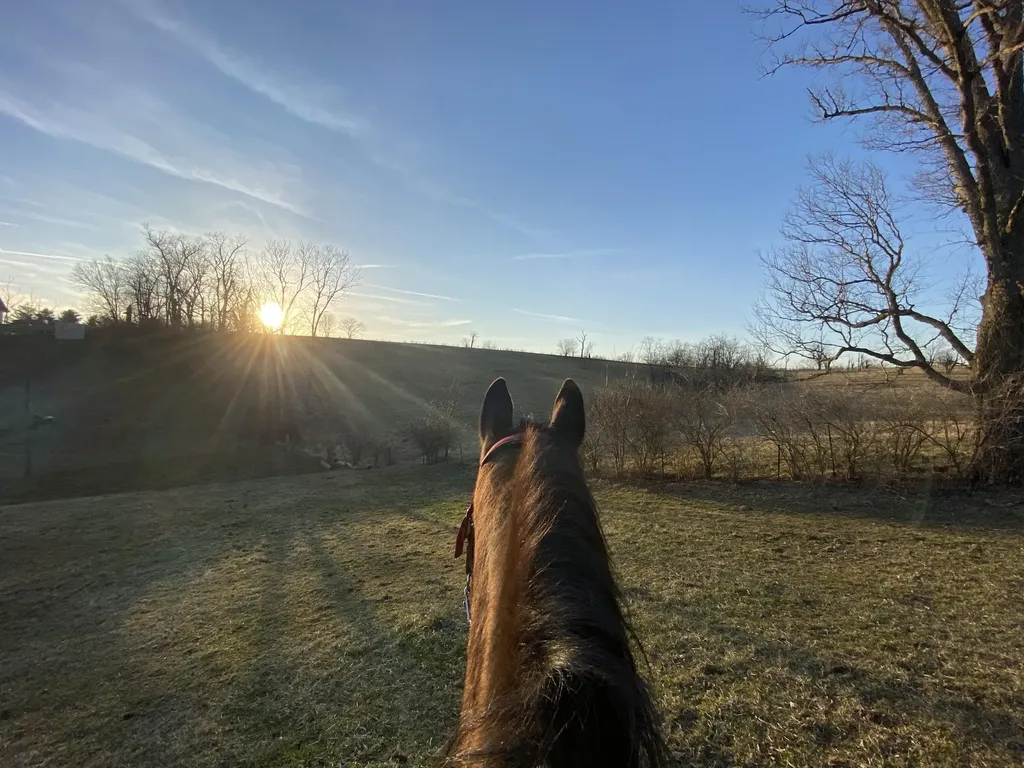 6888 Bybee Road Winchester KY 40391