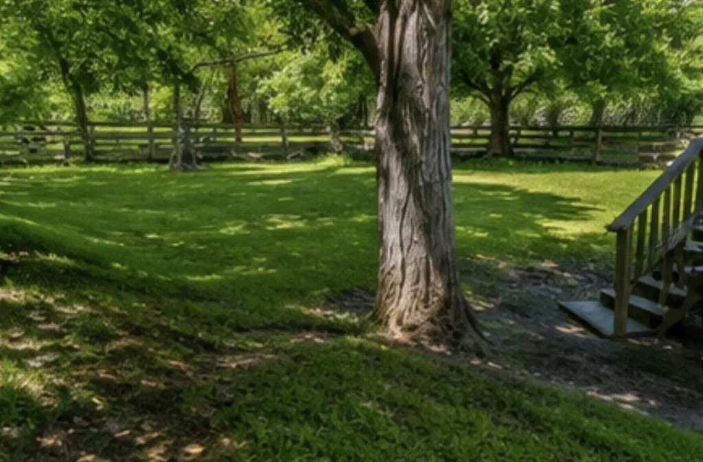 143 Salt River Road Danville KY 40422