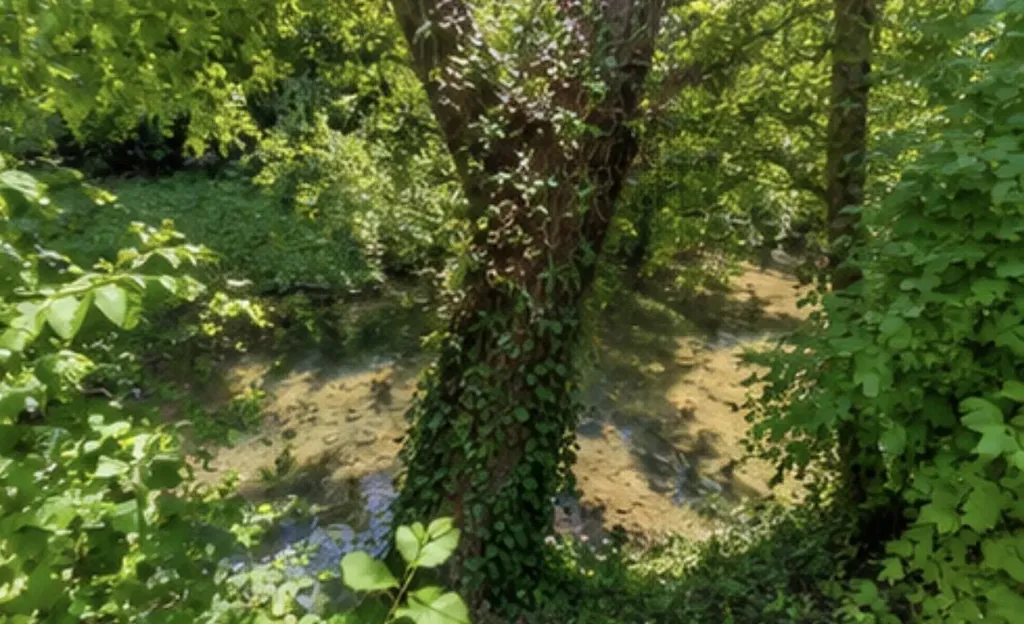 143 Salt River Road Danville KY 40422