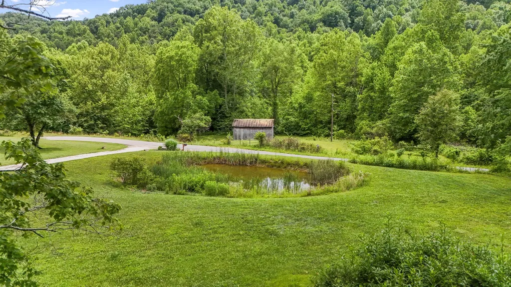3950 Clearfork Road Morehead KY 40351