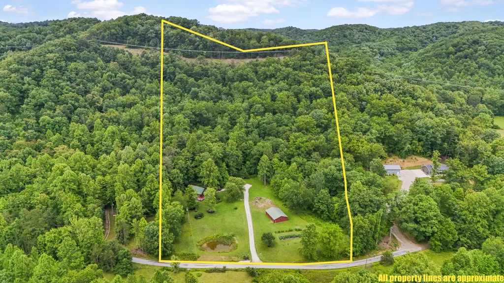 3950 Clearfork Road Morehead KY 40351