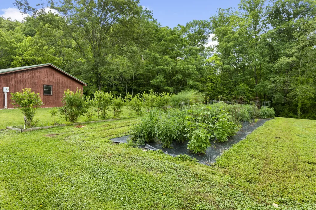 3950 Clearfork Road Morehead KY 40351