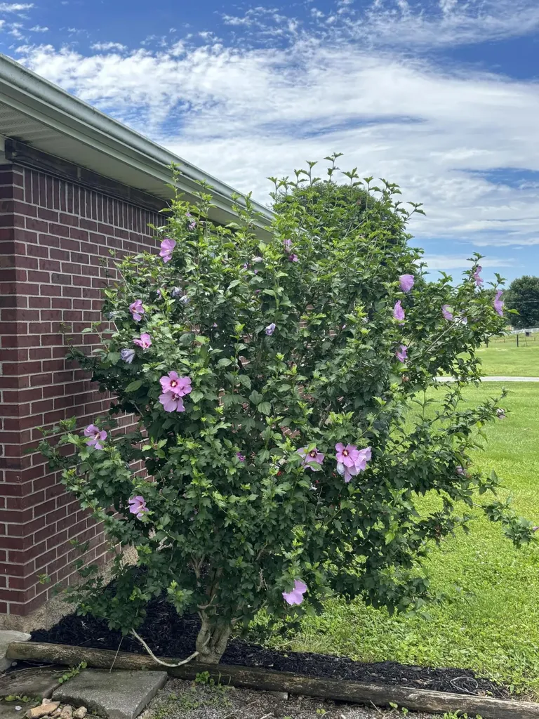 4137 Highway 2141 Stanford KY 40484