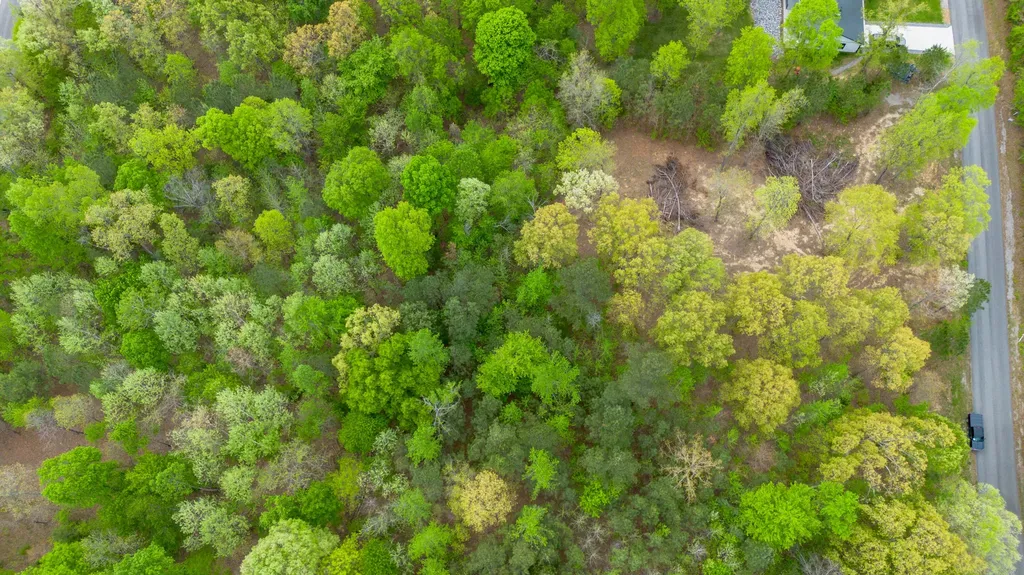 Lot 6 Woodridge Drive Benton KY 42025
