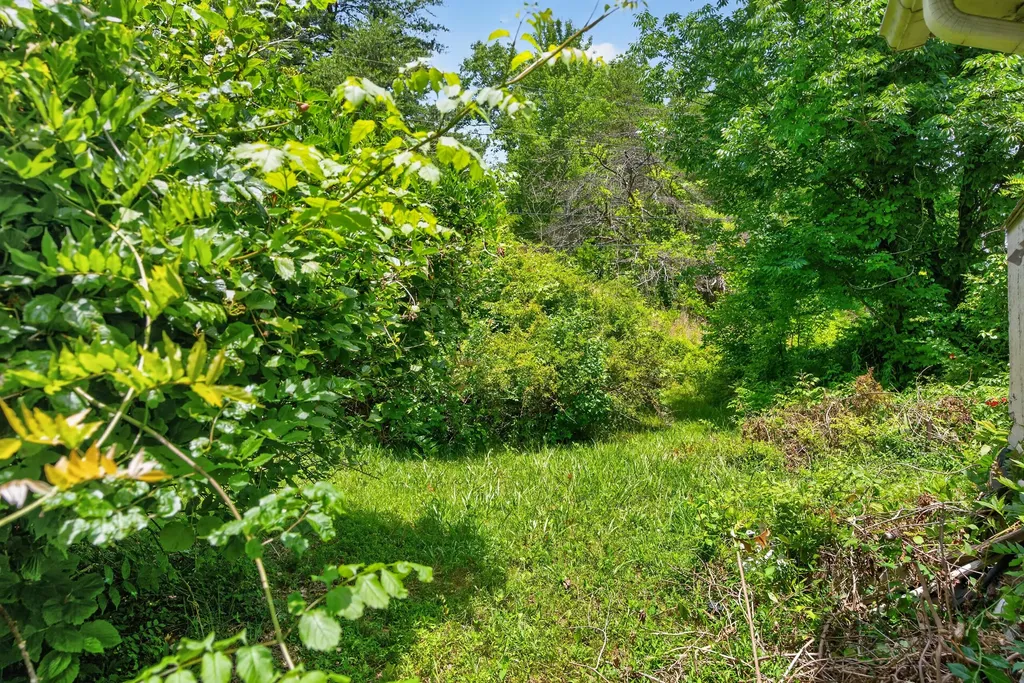1020 S Dogwood Drive Berea KY 40403
