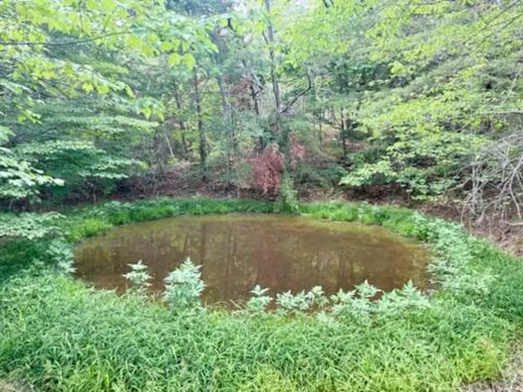 1020 S Dogwood Drive Berea KY 40403