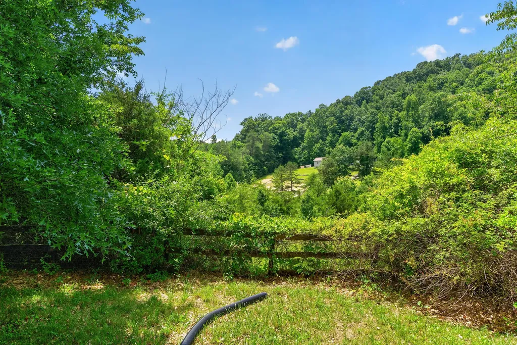 1020 S Dogwood Drive Berea KY 40403