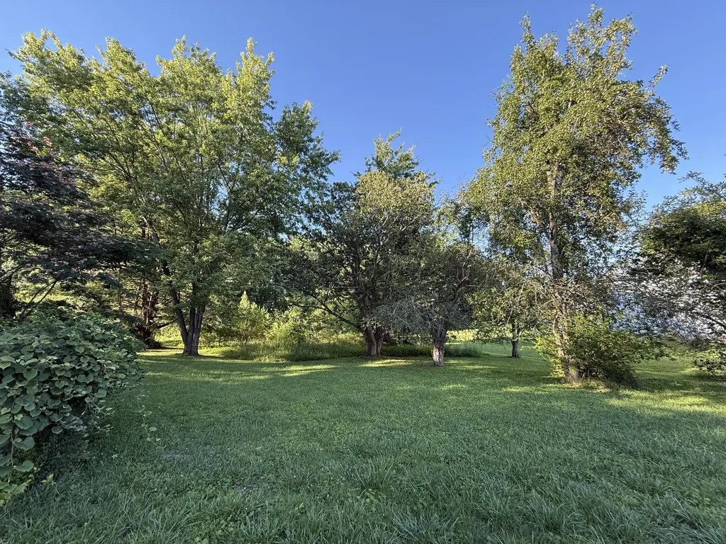 1046 Lakeway Drive Russell Springs KY 42642