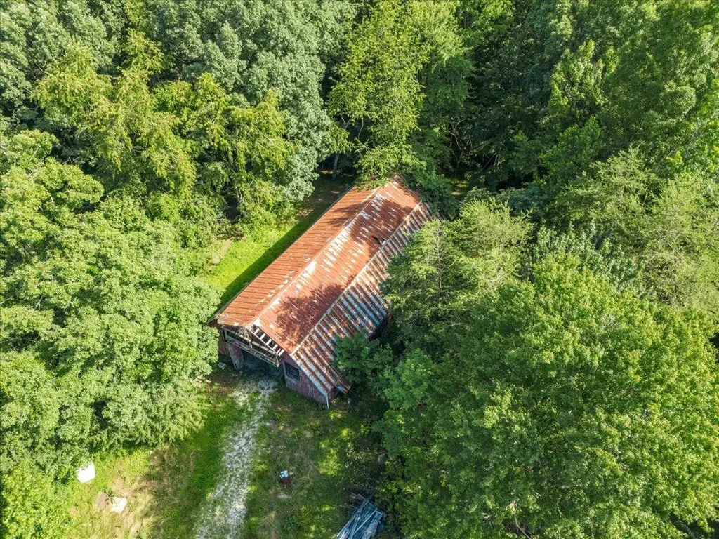 349 Persimmon Frk Lane Gray KY 40734
