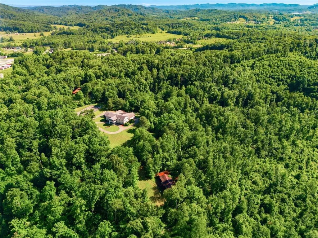 349 Persimmon Frk Lane Gray KY 40734