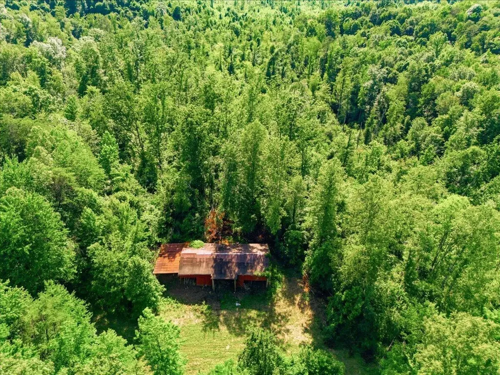 349 Persimmon Frk Lane Gray KY 40734