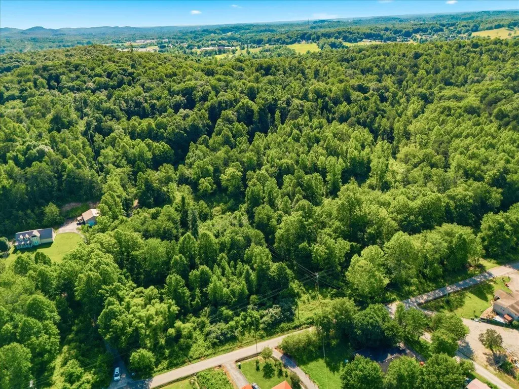 349 Persimmon Frk Lane Gray KY 40734