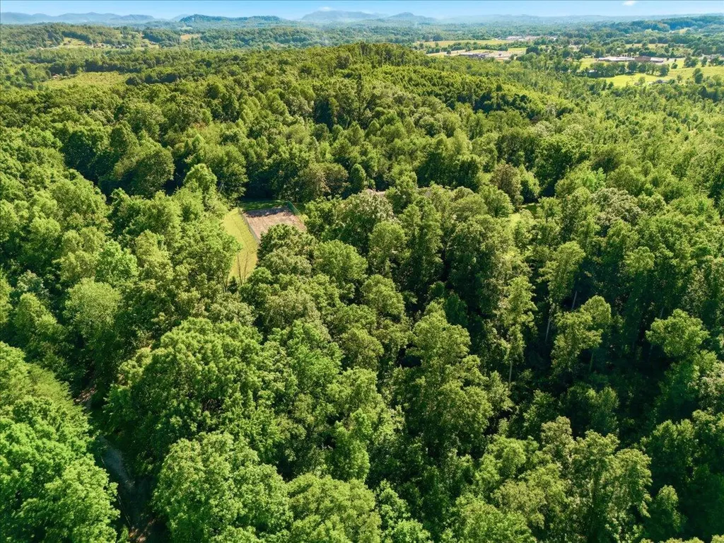 349 Persimmon Frk Lane Gray KY 40734