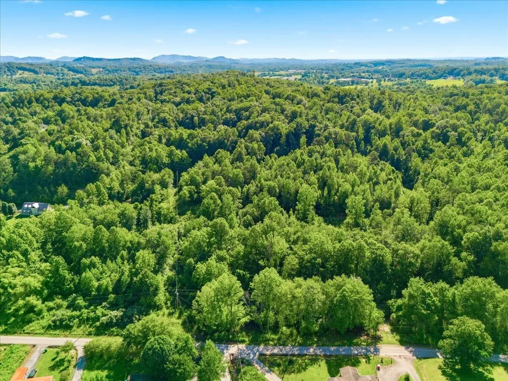 349 Persimmon Frk Lane Gray KY 40734