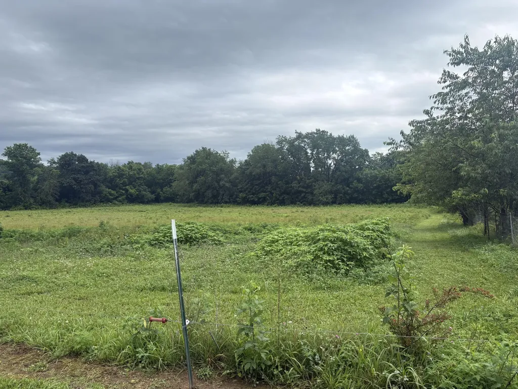 2455 Kentucky 2750 Crab Orchard KY 40419