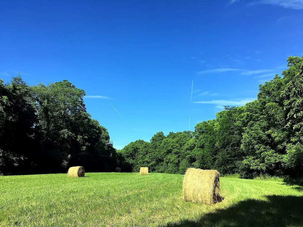 1281 Sharp Road Stamping Ground KY 40379