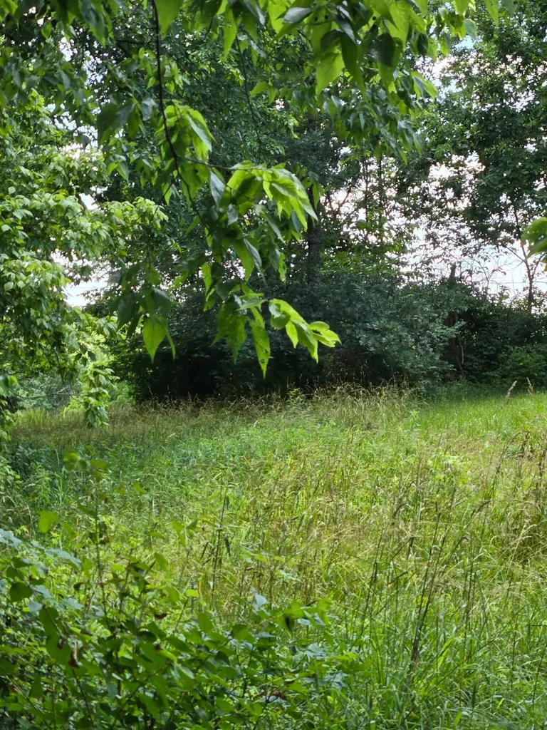 25 Leaning Oak Road Corinth KY 41010