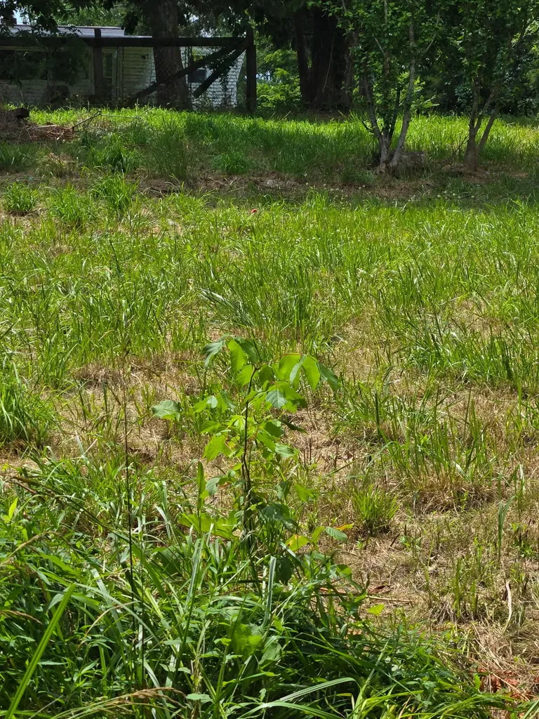 25 Leaning Oak Road Corinth KY 41010