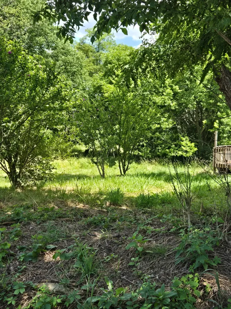 25 Leaning Oak Road Corinth KY 41010