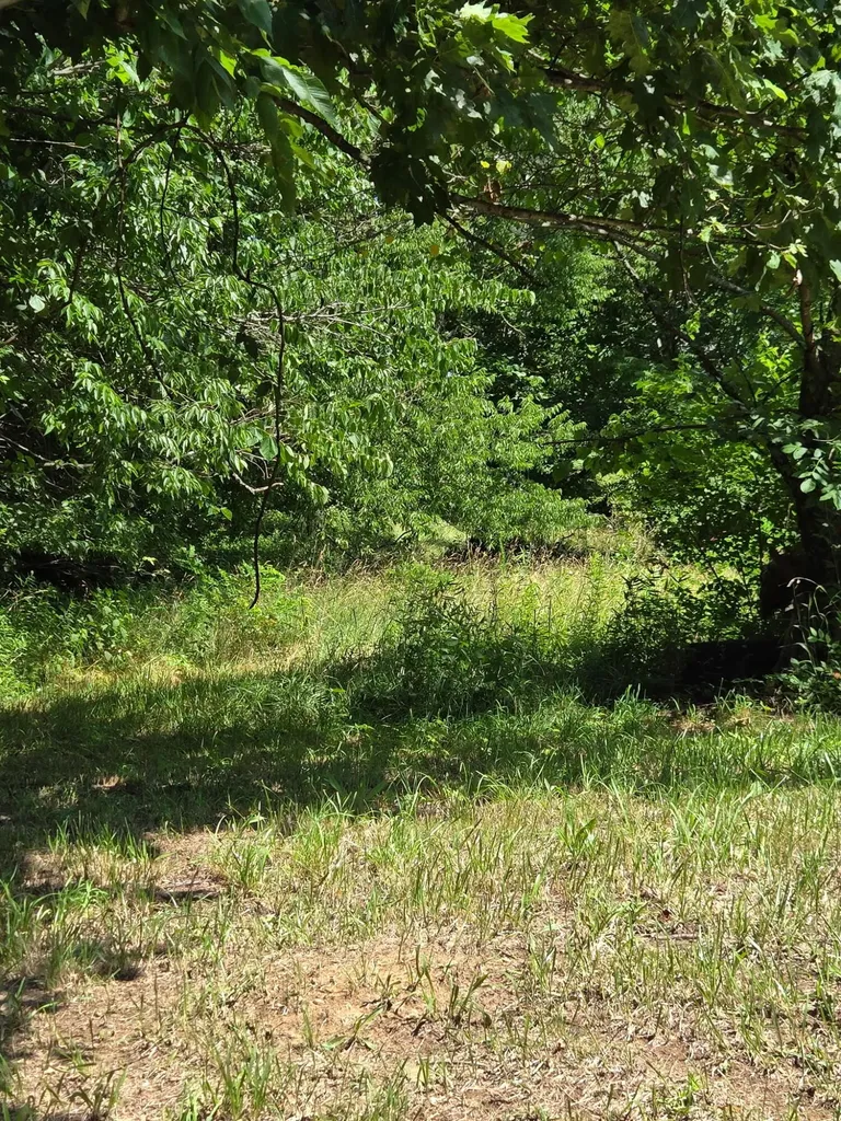 25 Leaning Oak Road Corinth KY 41010