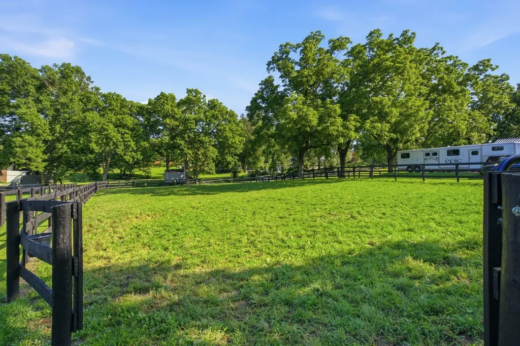 166 Swigert Avenue Lexington KY 40505