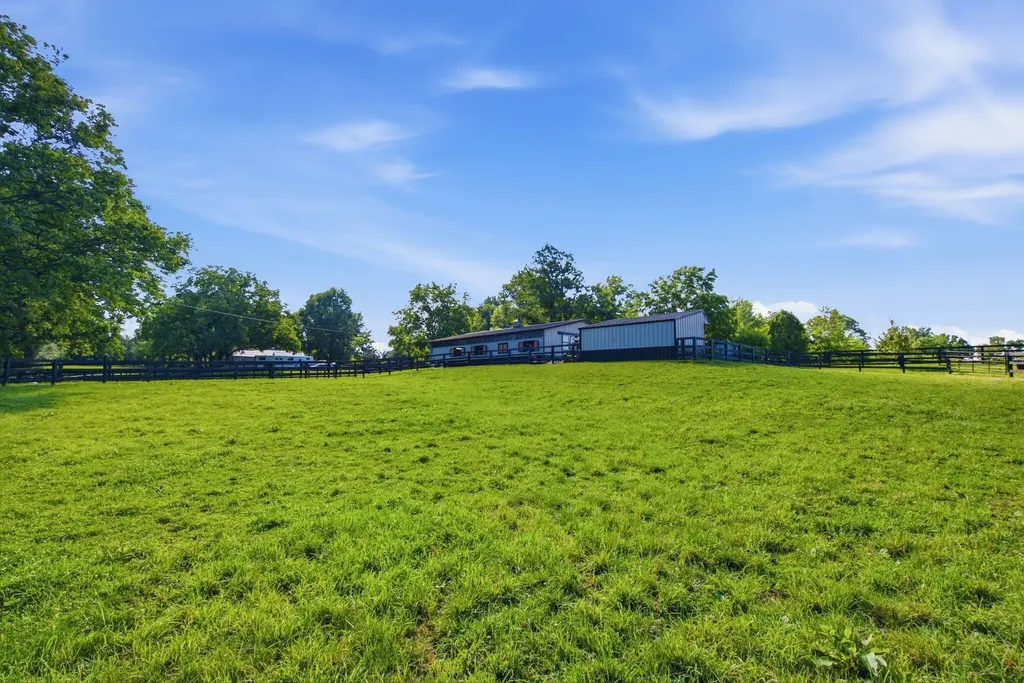 166 Swigert Avenue Lexington KY 40505