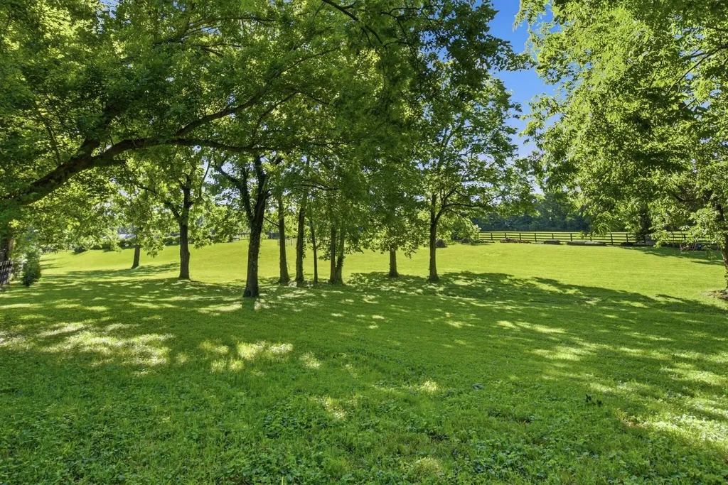 166 Swigert Avenue Lexington KY 40505