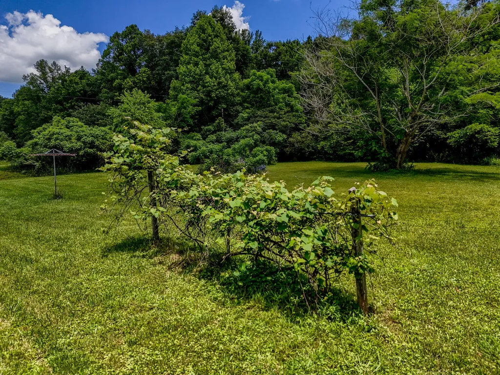 460 Rockfork Road Morehead KY 40351