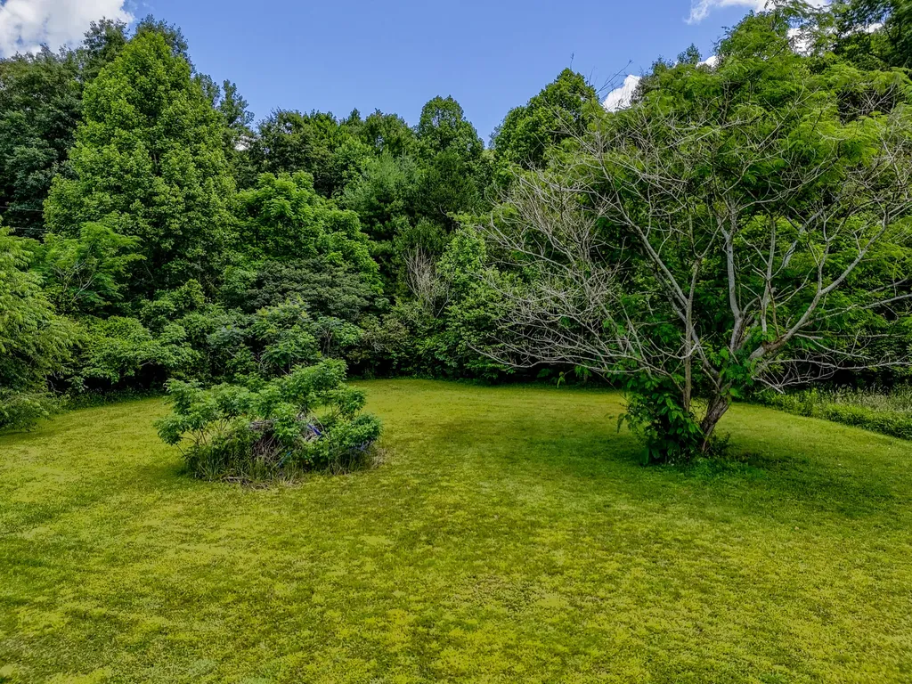 460 Rockfork Road Morehead KY 40351