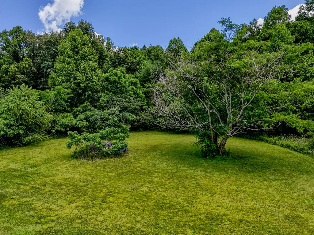 460 Rockfork Road Morehead KY 40351
