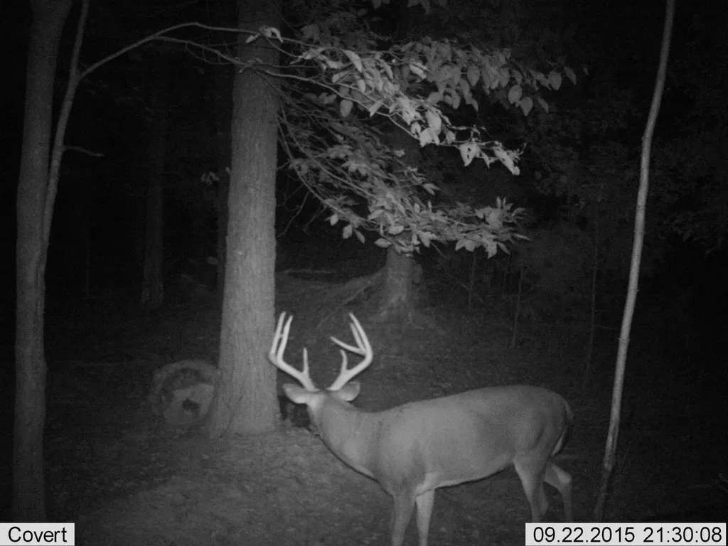 41.15 Acres State Highway 506 Marion KY 42064