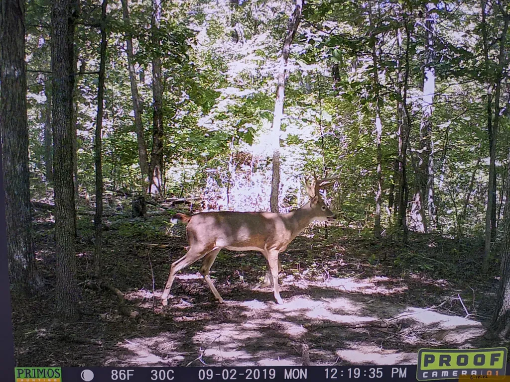 41.15 Acres State Highway 506 Marion KY 42064