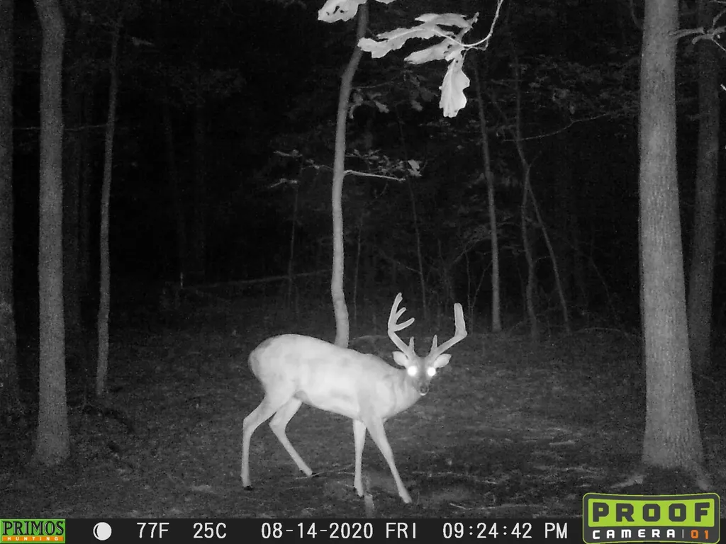 41.15 Acres State Highway 506 Marion KY 42064