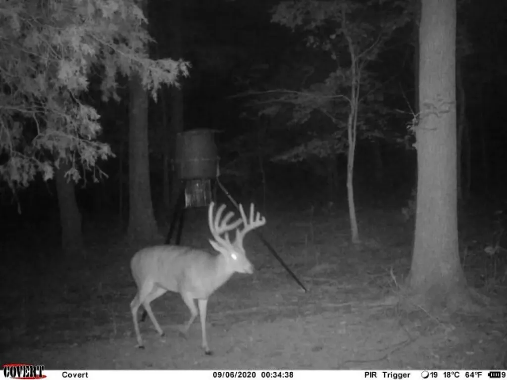 41.15 Acres State Highway 506 Marion KY 42064