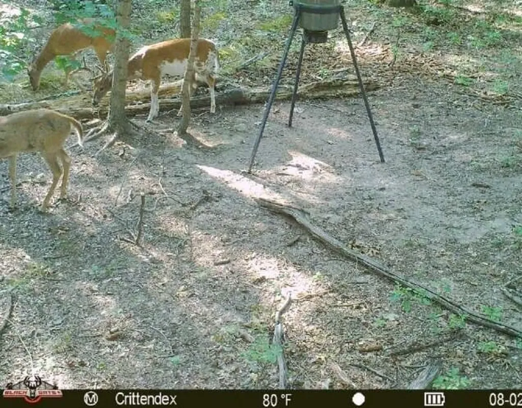 41.15 Acres State Highway 506 Marion KY 42064